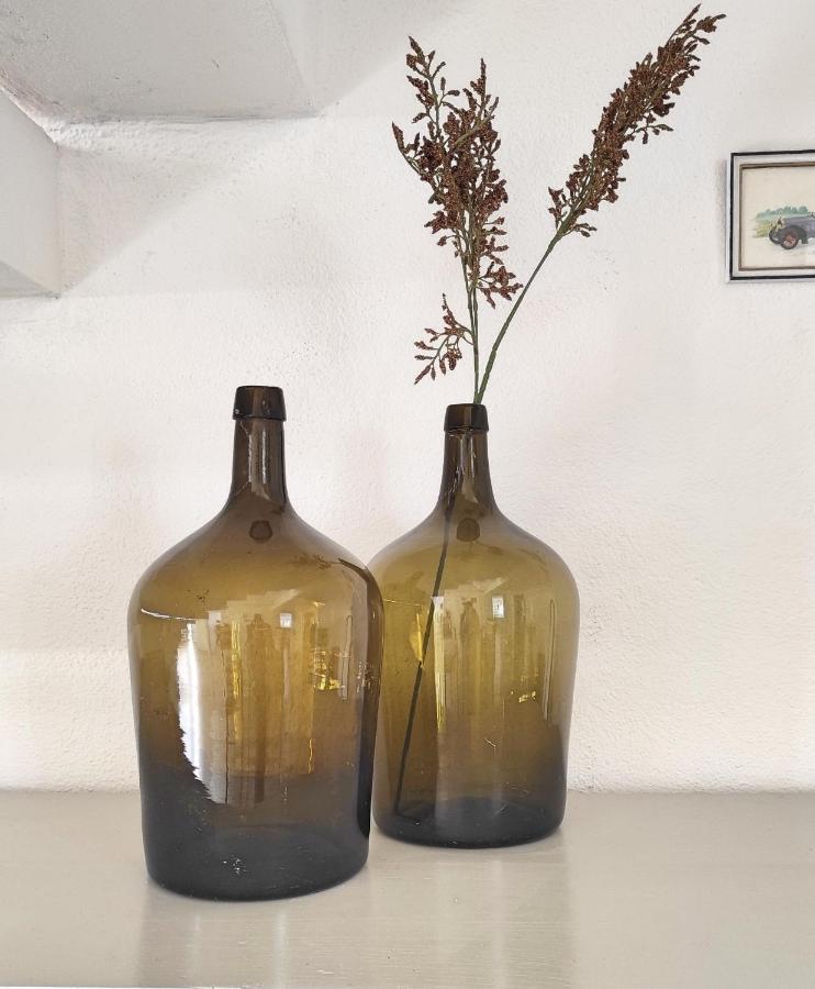 Villa D'Uvale Douro Alijó エクステリア 写真