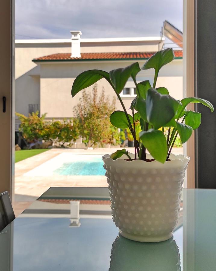 Villa D'Uvale Douro Alijó エクステリア 写真
