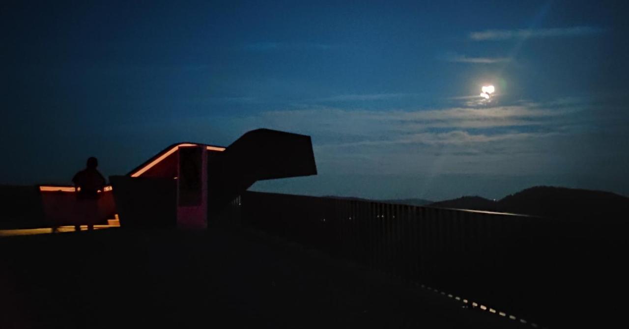 Villa D'Uvale Douro Alijó エクステリア 写真